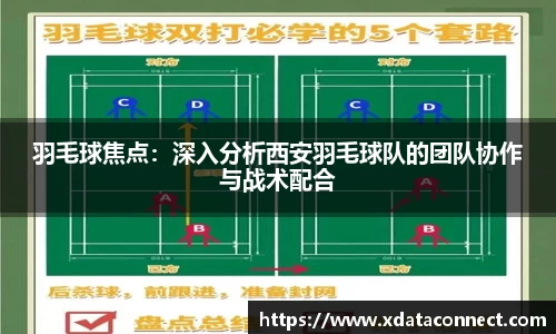 羽毛球焦点：深入分析西安羽毛球队的团队协作与战术配合